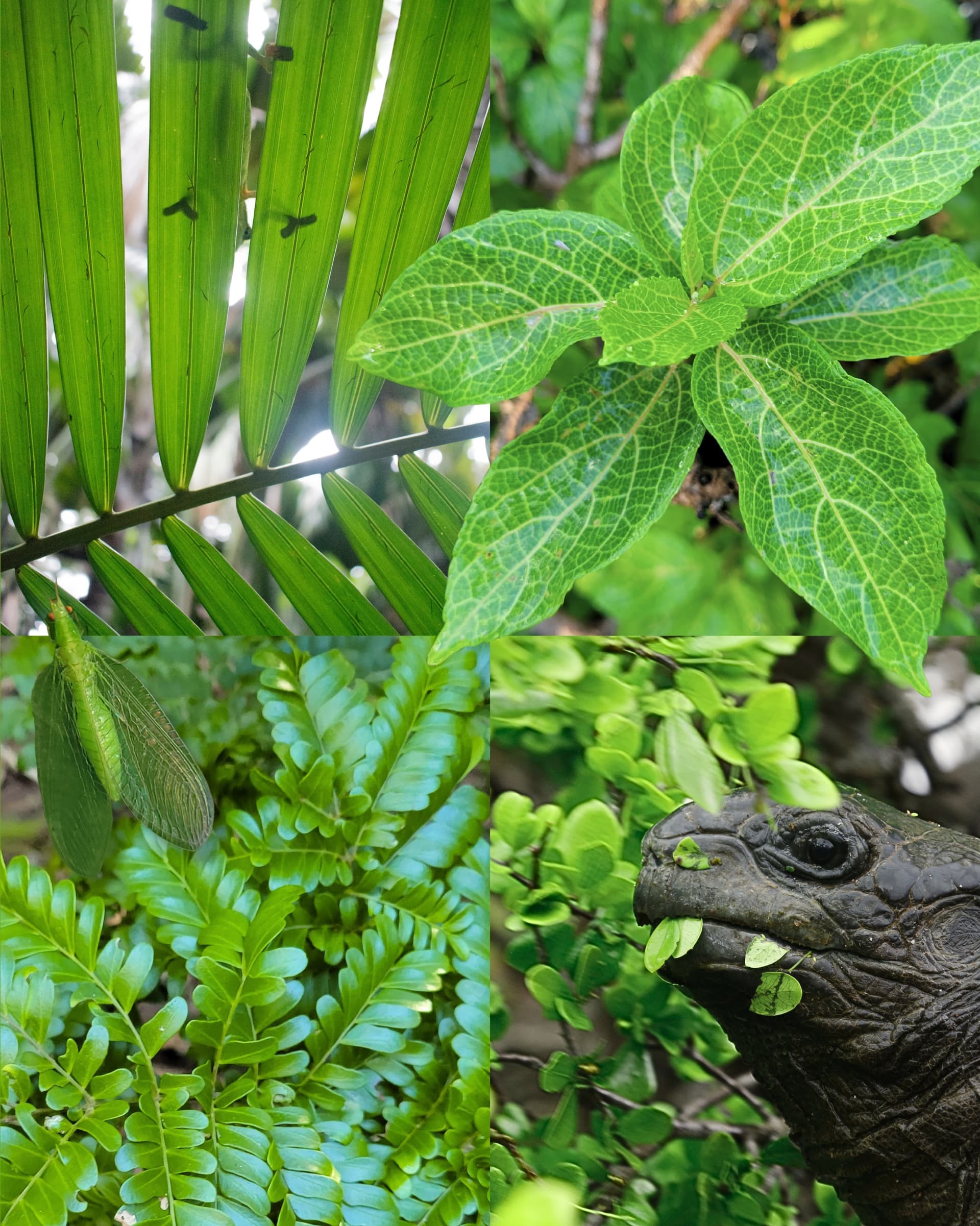 The aesthetic you didn’t know you needed Before moodboards, there was nature. (5/6)