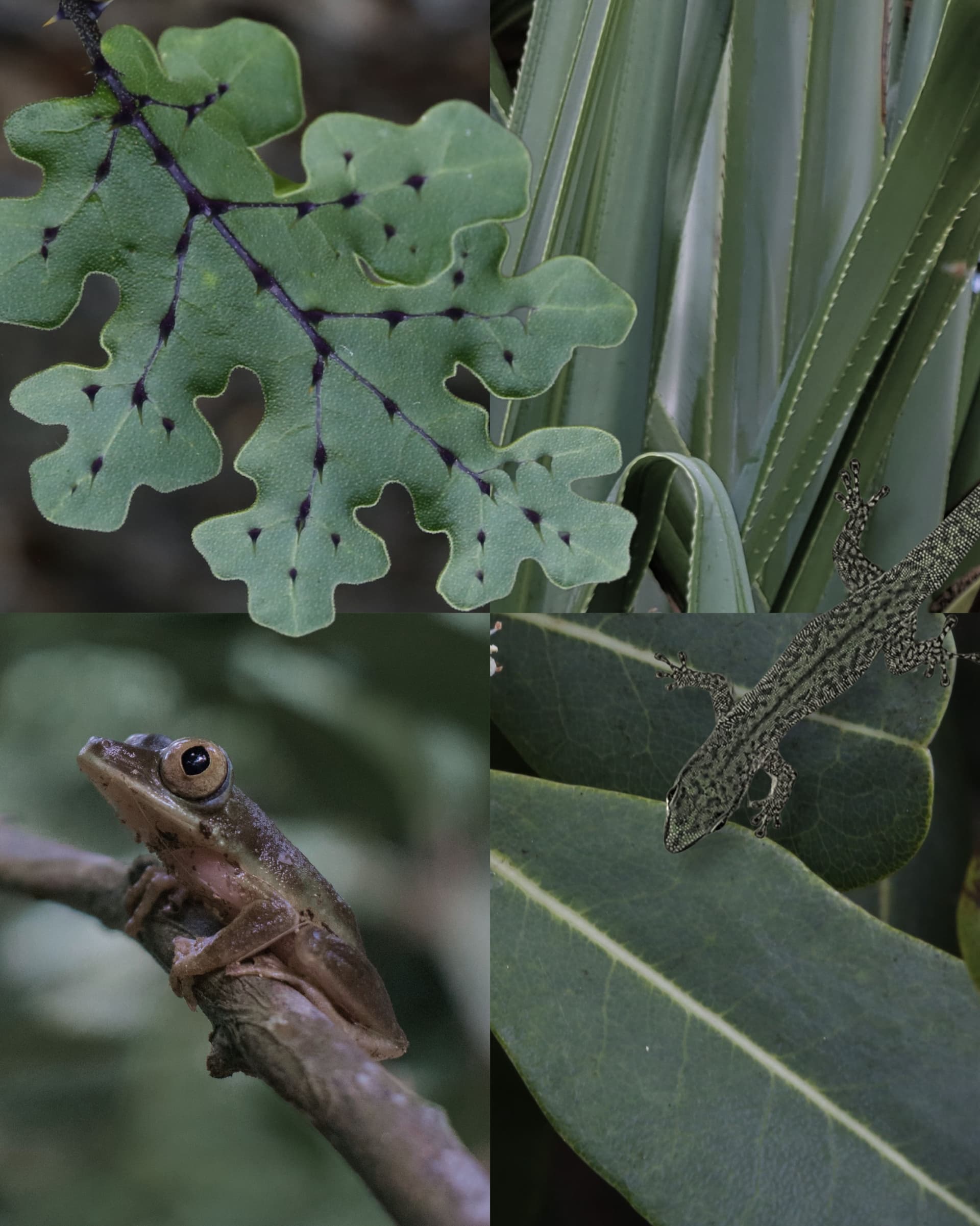 POV: nature has better taste than all of us Aldabra is one of the last truly wild… (2/6)