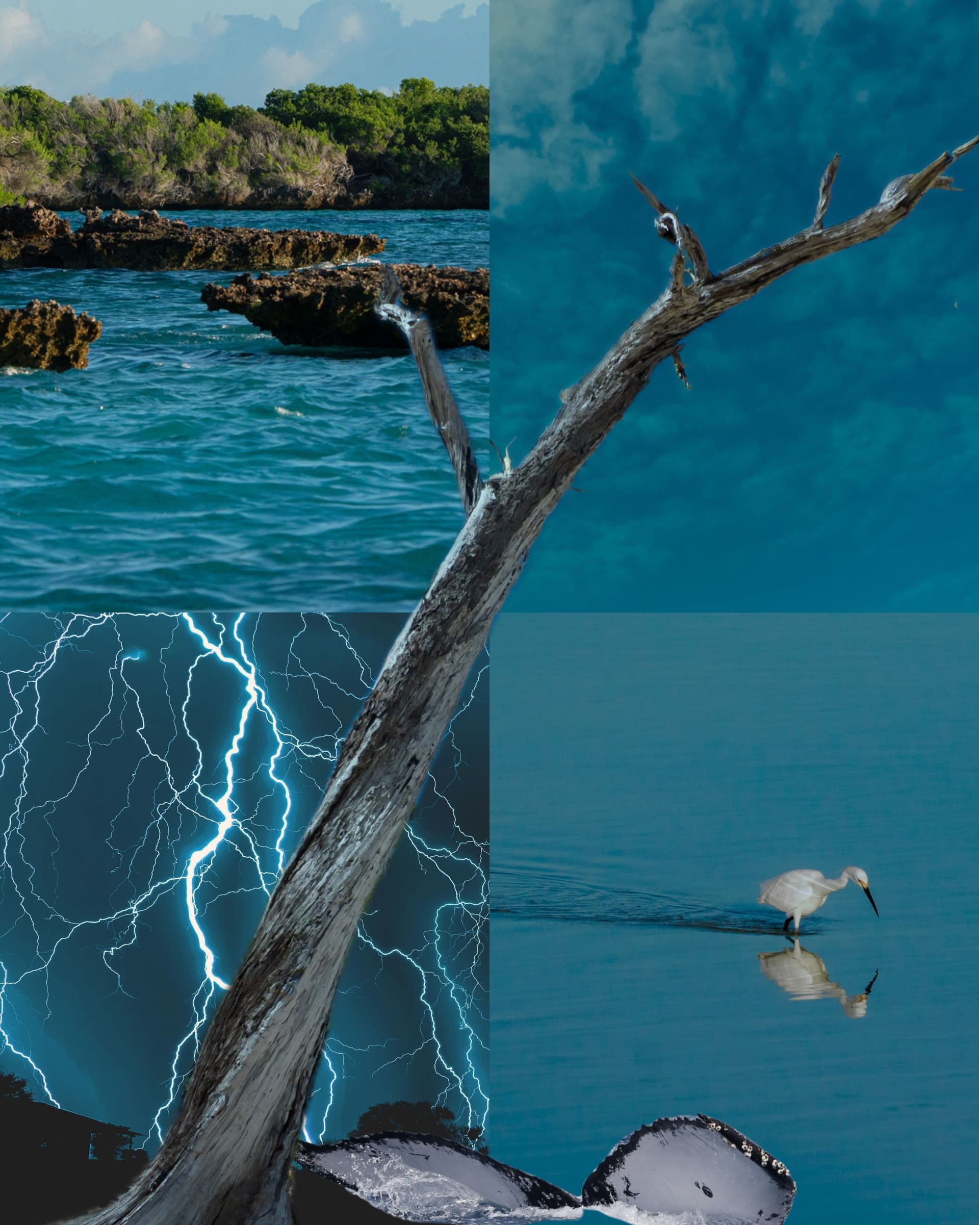 POV: nature has better taste than all of us Aldabra is one of the last truly wild… (6/6)