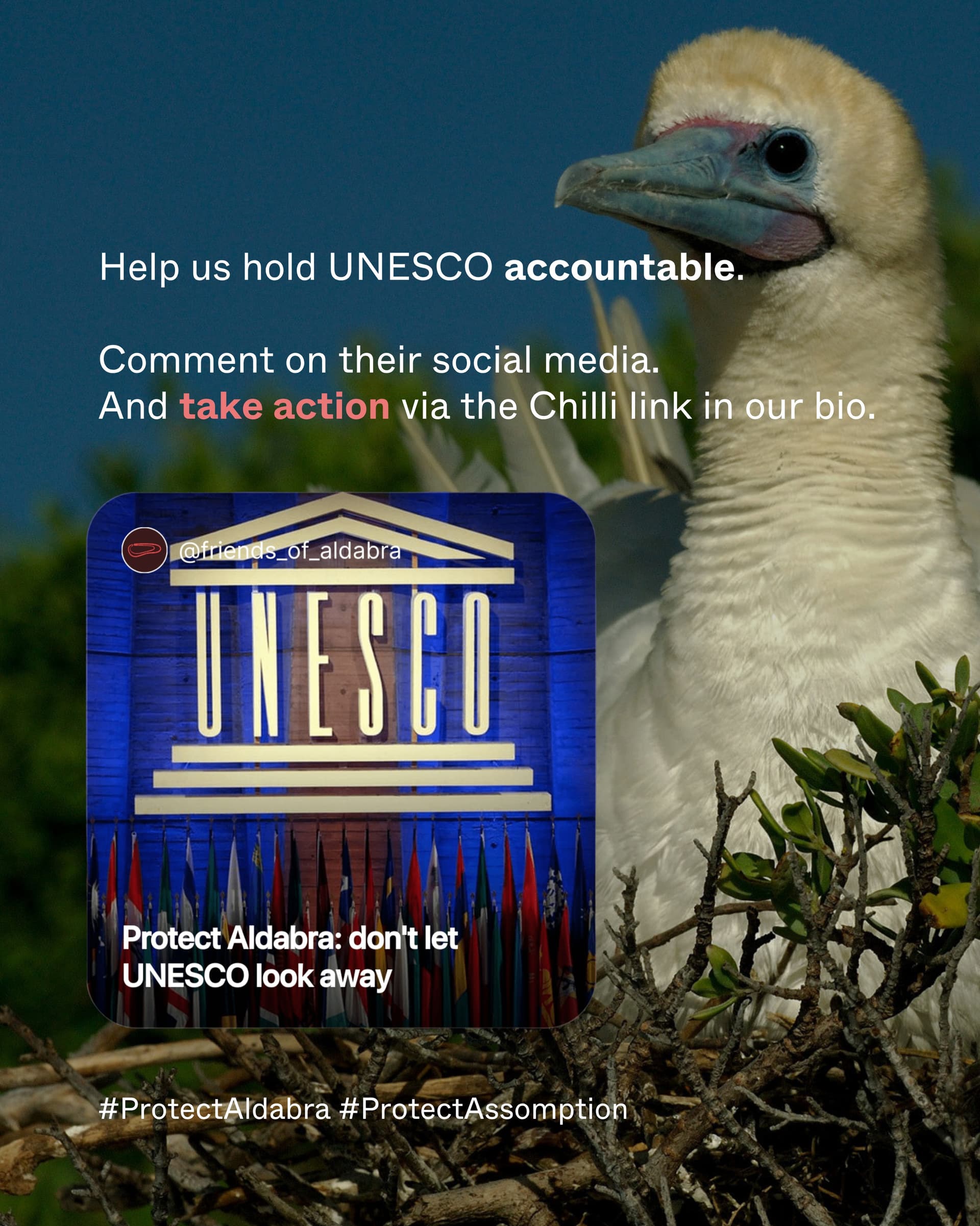 UNESCO recognizes Aldabra as one of the most undisturbed, globally significant natural… (8/8)