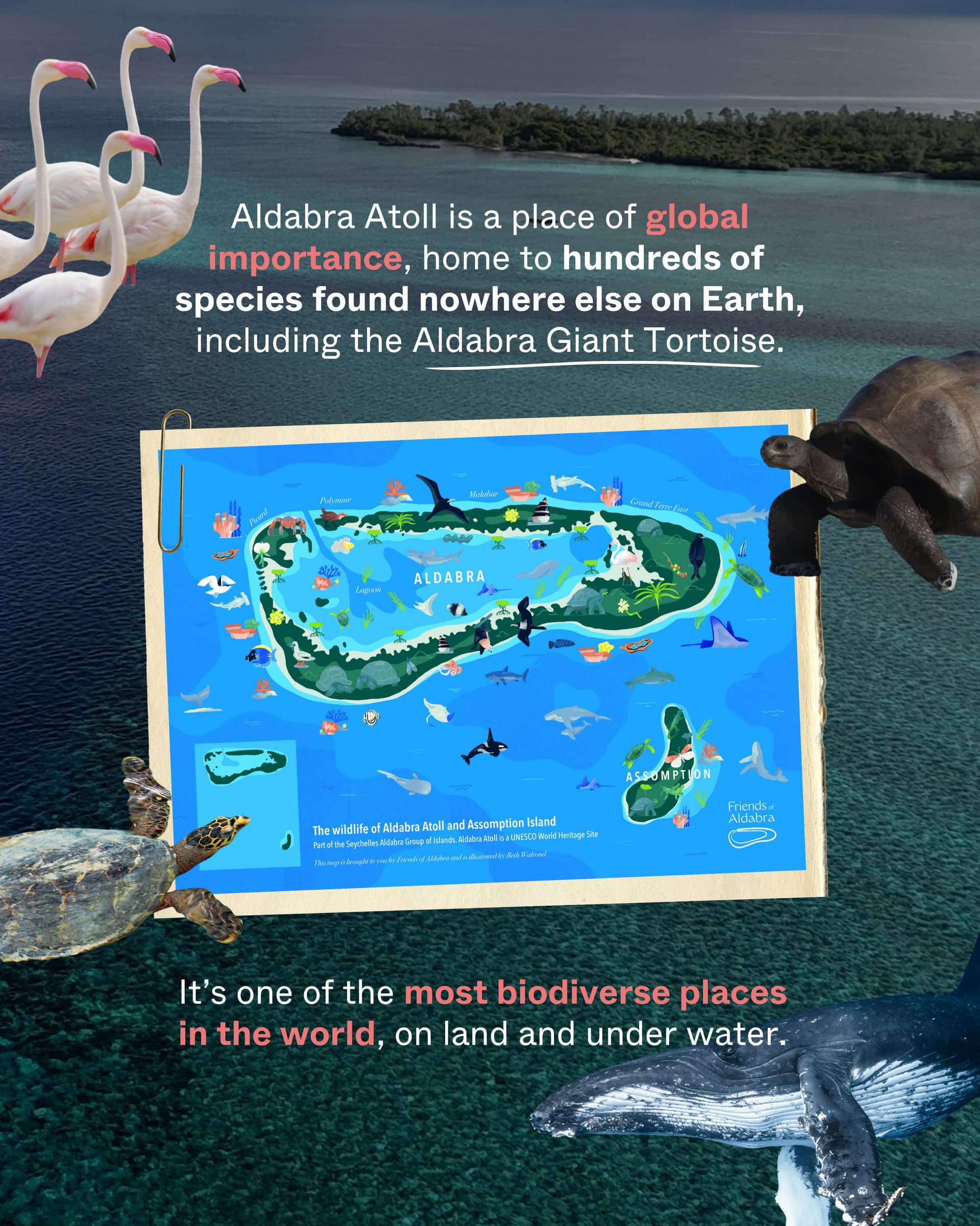 FROM ALBANIA TO ALDABRA The same investors behind J K^shner and Iv Tr^mp’s… (4/8)