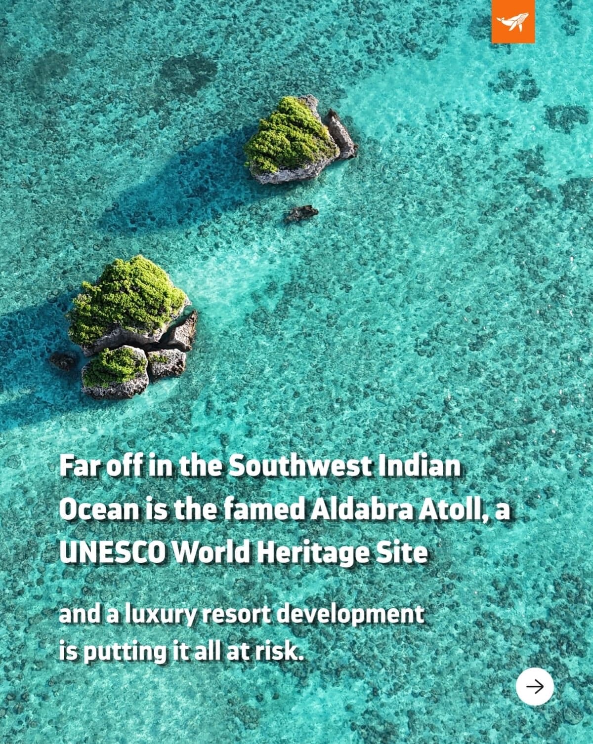Far off in the Southwest Indian Ocean is the famed Aldabra Atoll, a UNESCO World… (1/6)