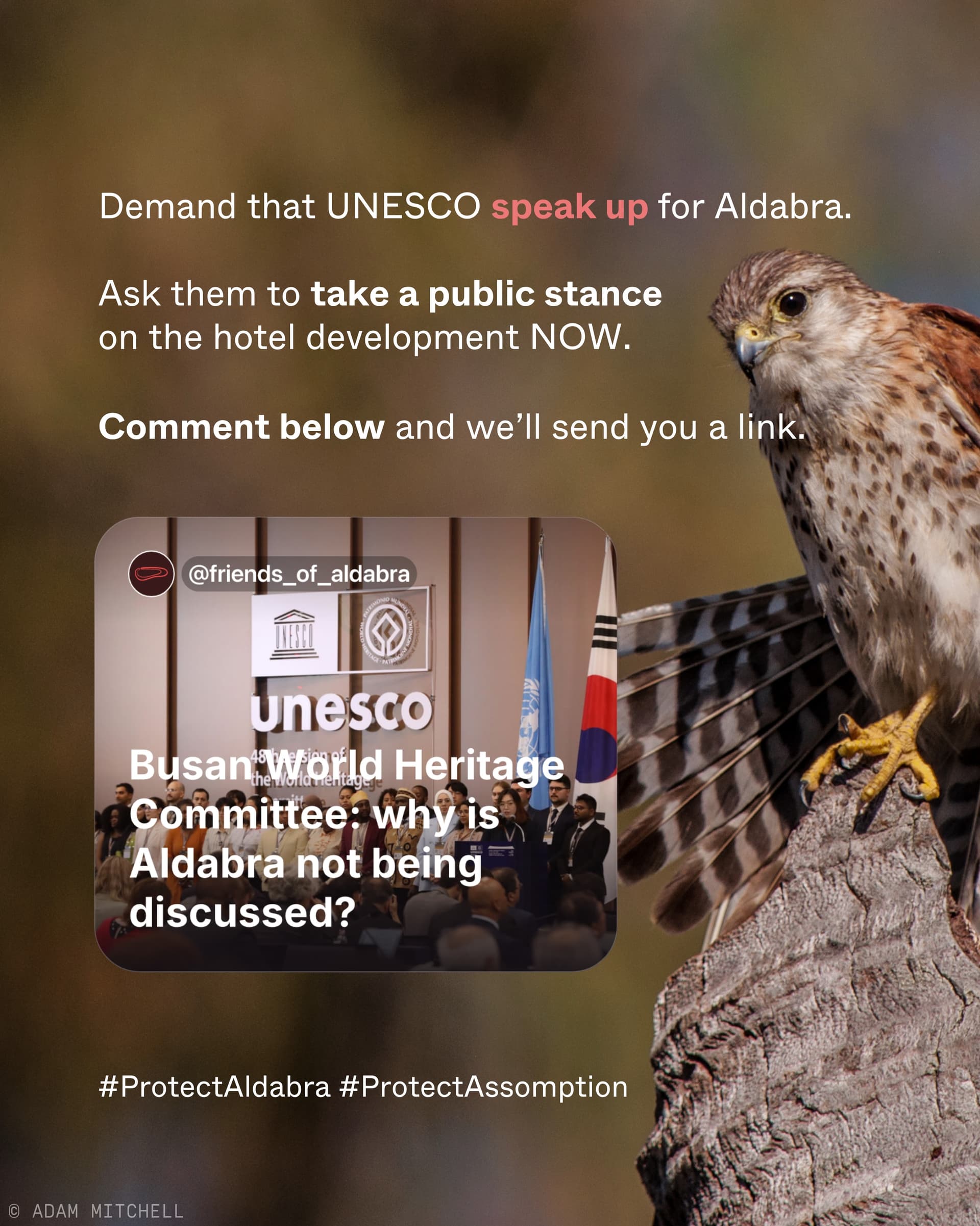 The UNESCO World Heritage Committee met in Busan, Republic of Korea this week. (9/9)