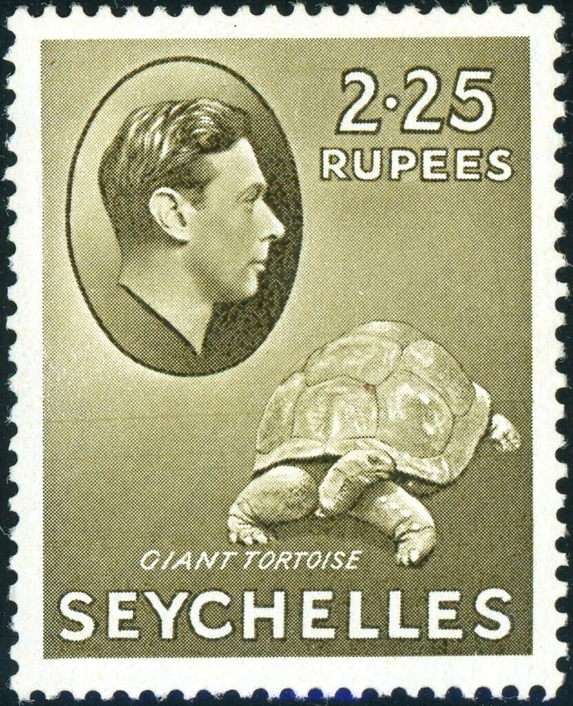 The Lessee Bans Tortoise Killing