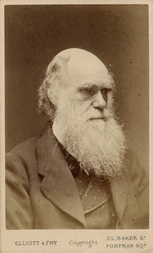 Darwin Signs the Petition to Save the Tortoises