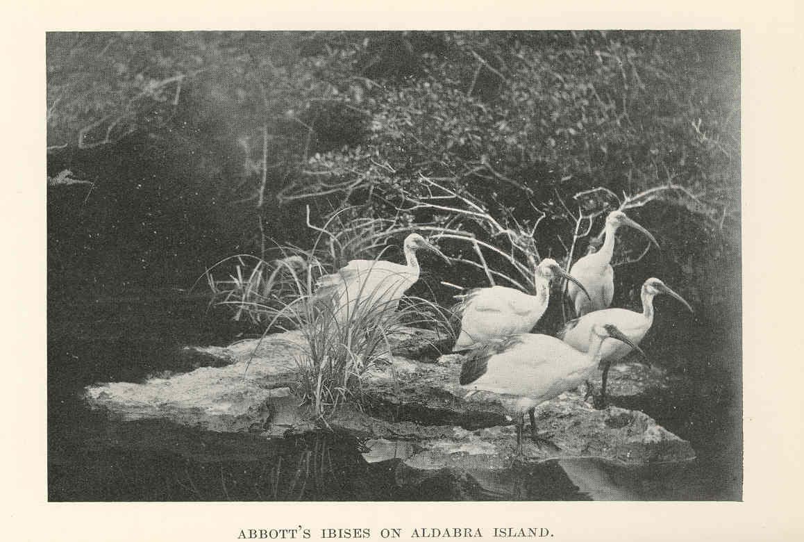 The Dupont Expedition