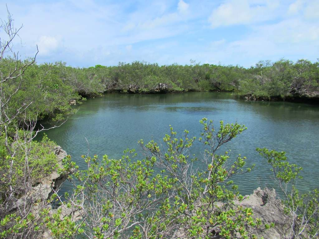 Aldabra Is Gazetted a Special Reserve
