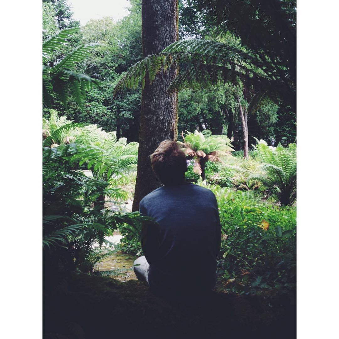 Earth laughs in flowers 👌