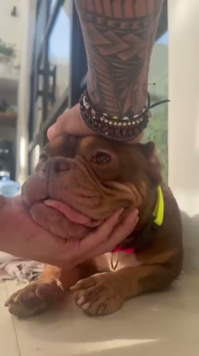 Bonbon — From hopeless and neglected to super spoiled