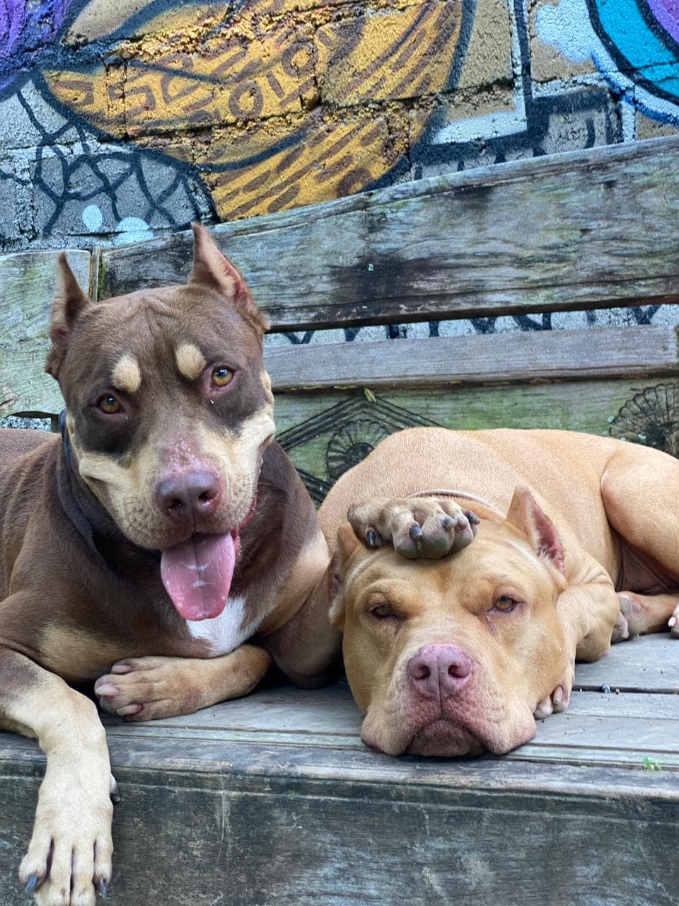Chance & Pearl — Pearl from the streets to the sheets Chance from jail to freedom