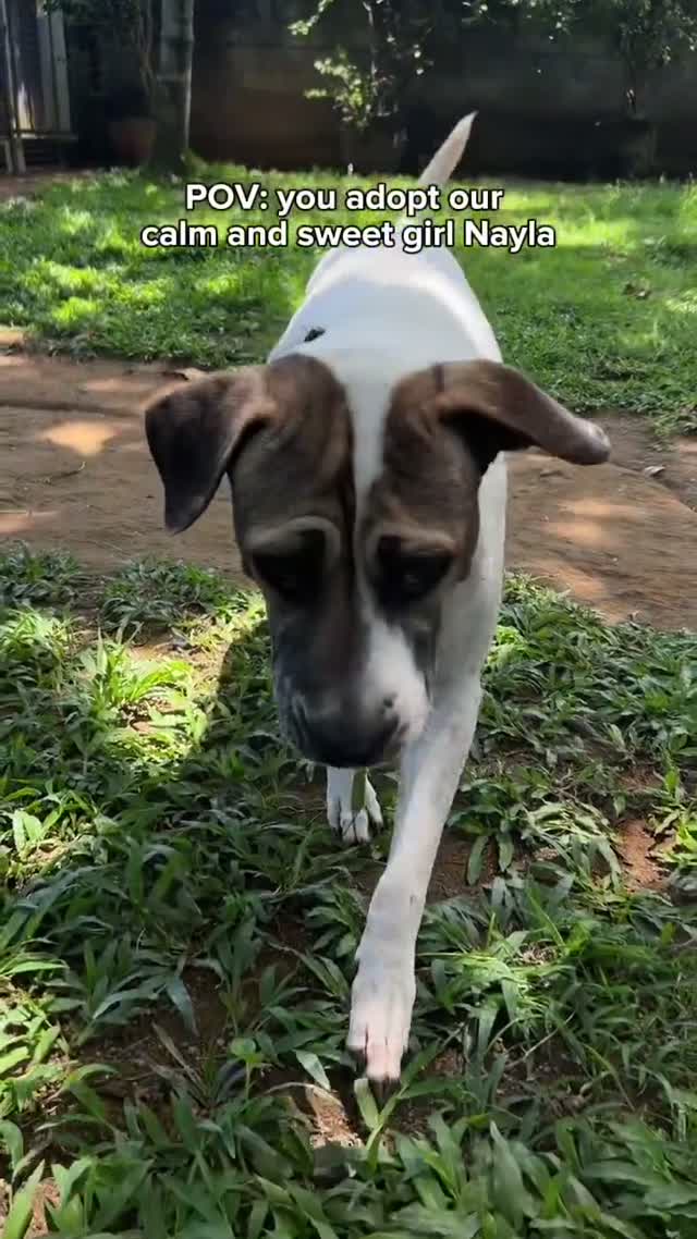 Nylah — The hidden gem