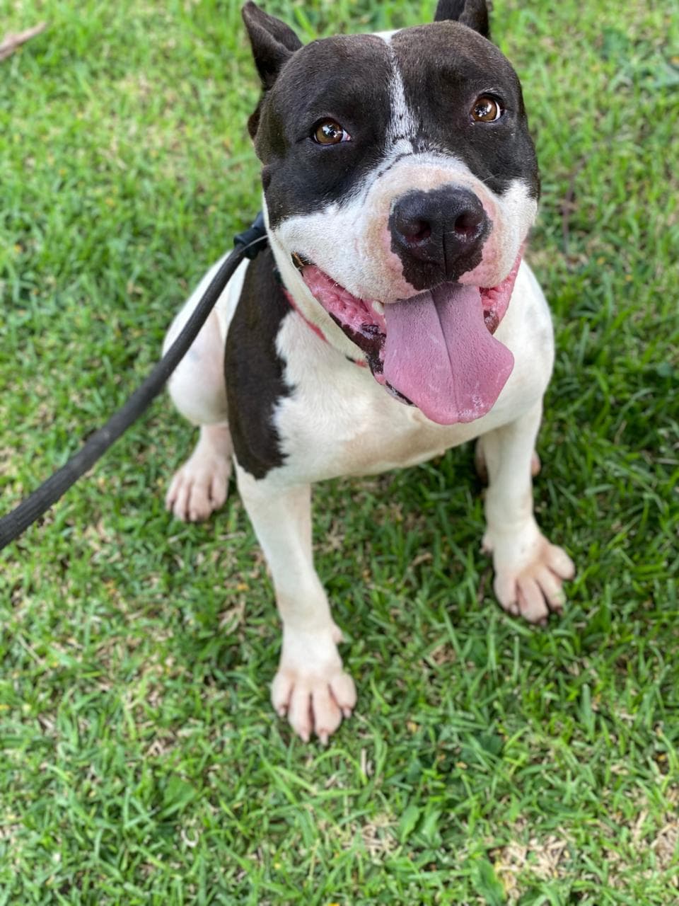 Xila — from a hard cage to a soft bed