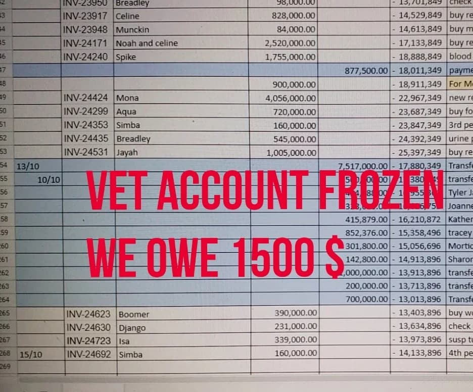 ❌ VET ACCOUNT FROZEN ❌