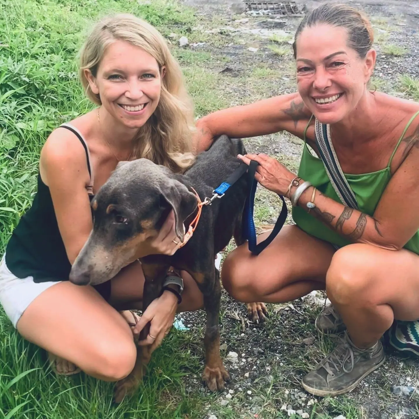 PRINCE β€ β arrived at his FOSTER HOME π₯° I can't even put into words how happy this makβ¦