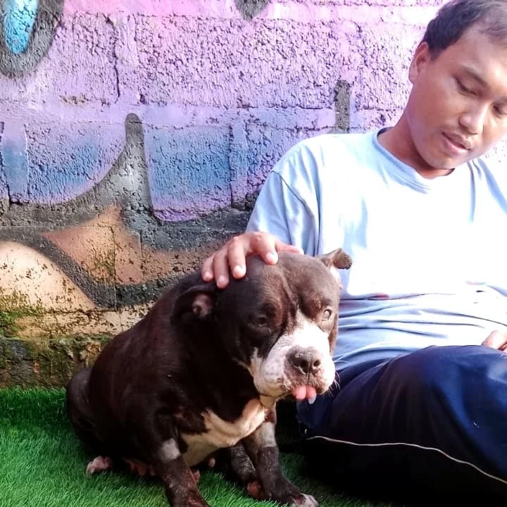 CUPCAKE ❤ welcome to BBR sweet angel ❤