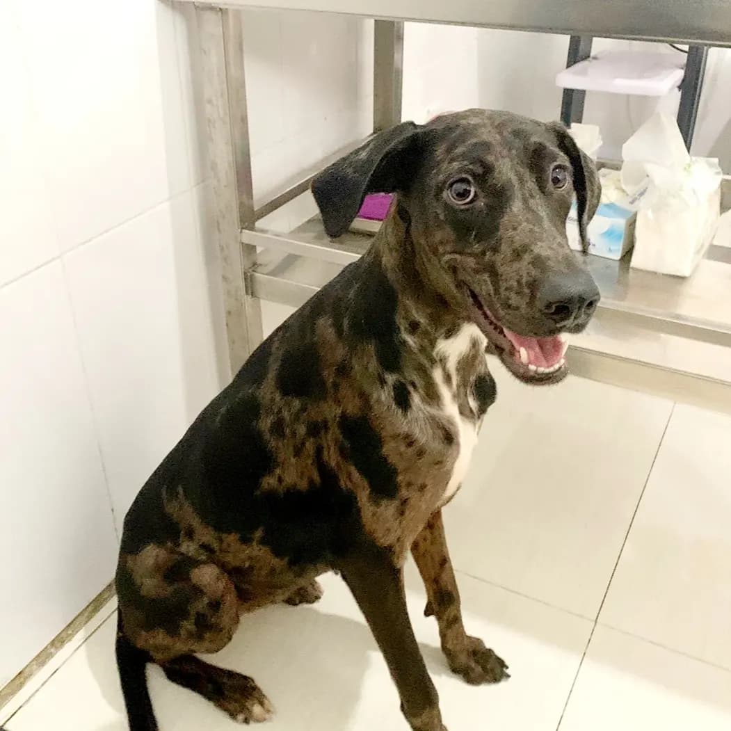TARA β€ just RESCUED π