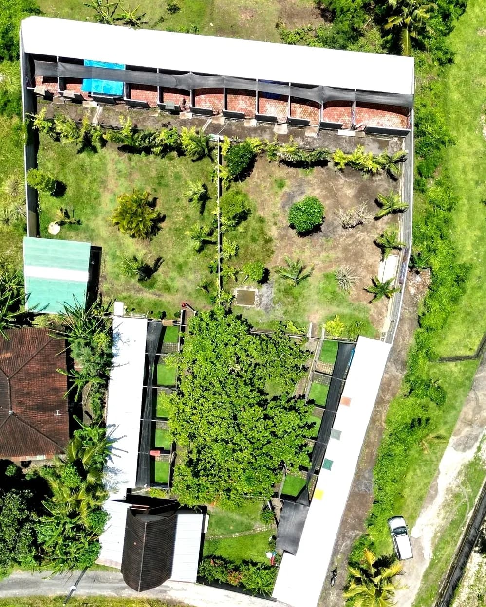 BALI BULLY RESCUE CENTER from above