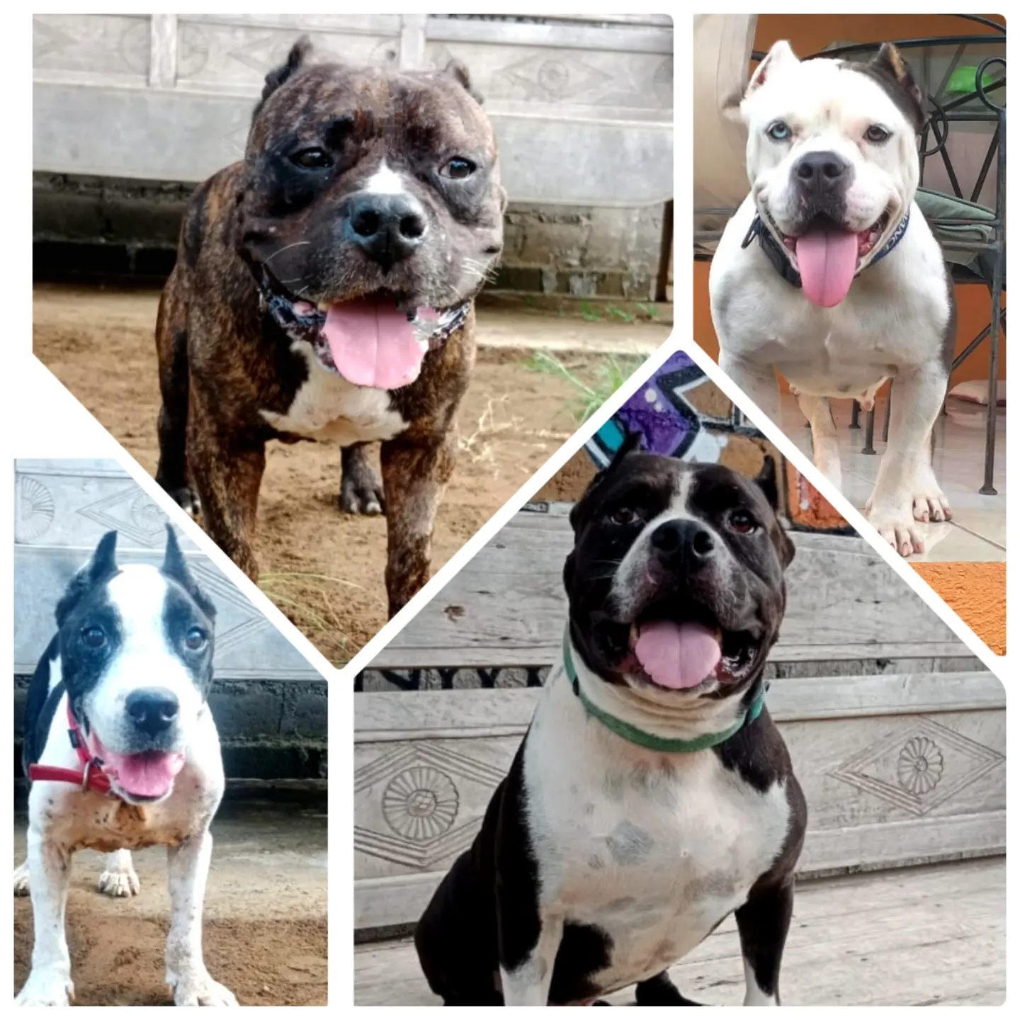 ❤ NAGA ❤BIRU ❤ LOUIE ❤ JOHN ❤