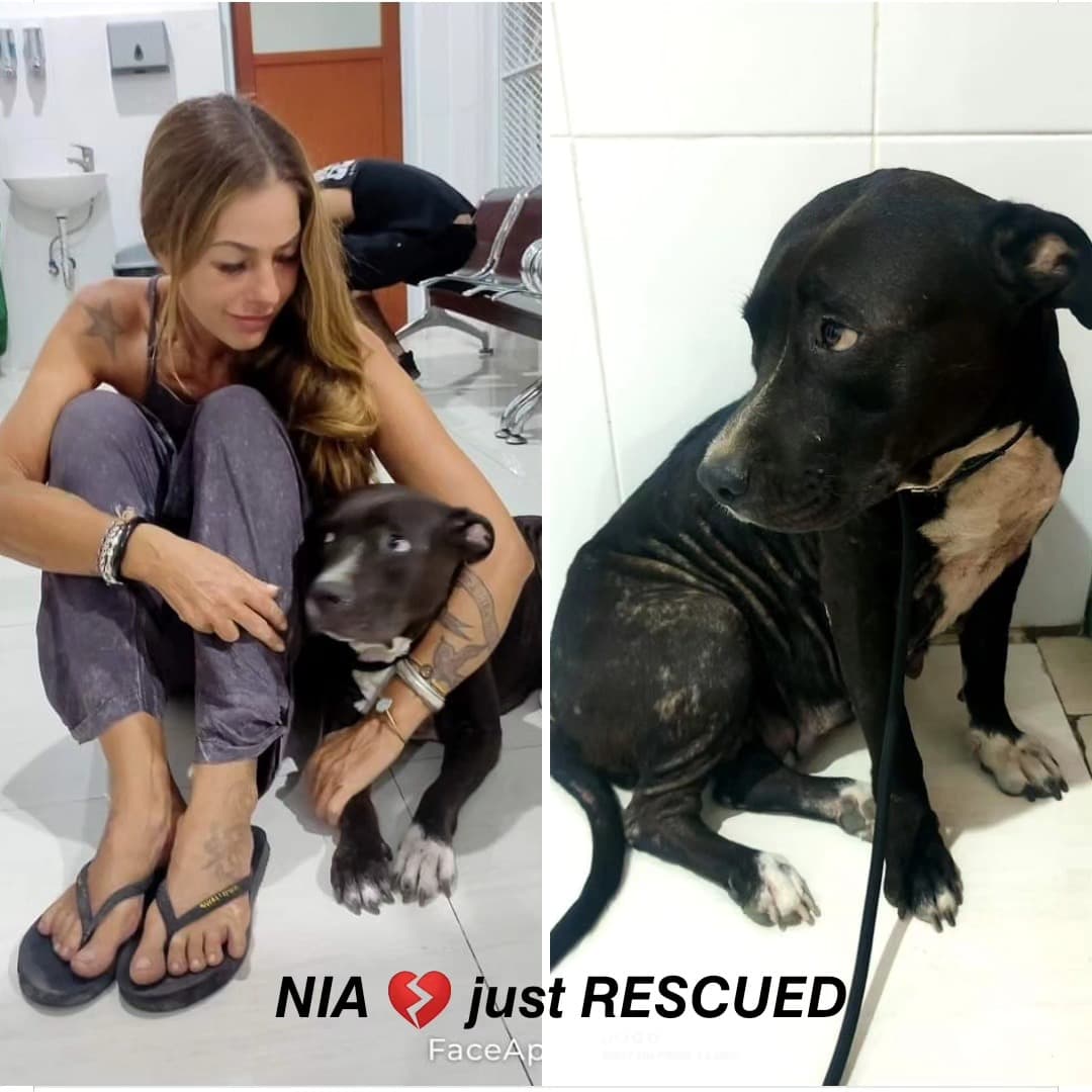 NIA π just RESCUED π