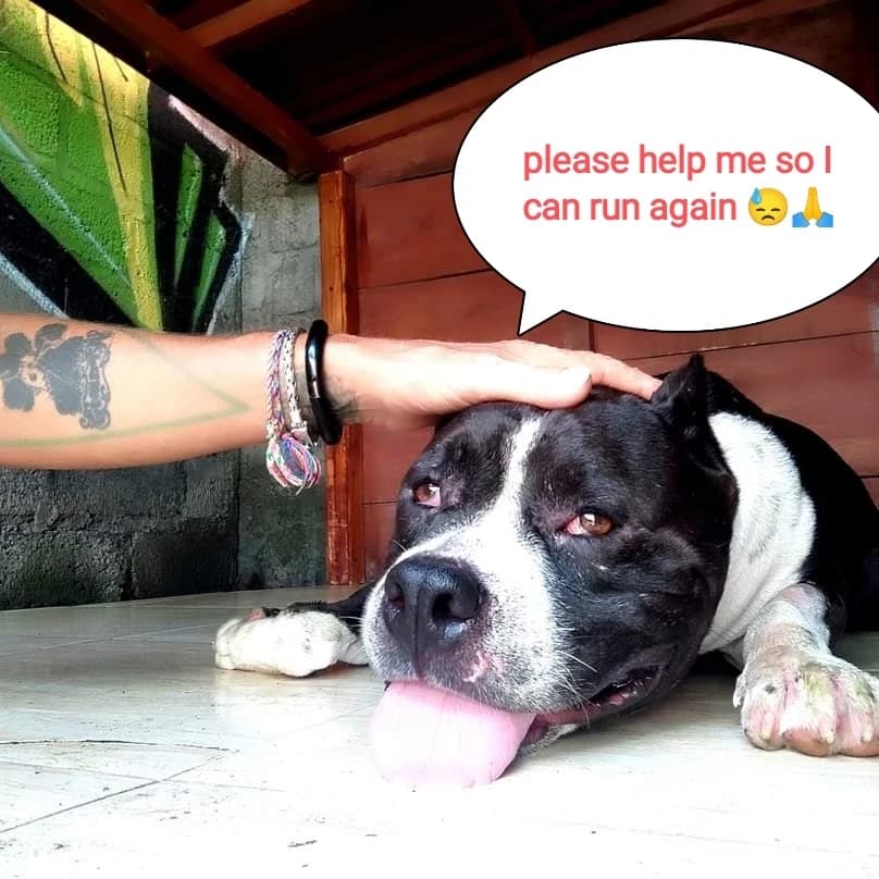 JOHN π PLEASE DONATE π¨π¨π¨