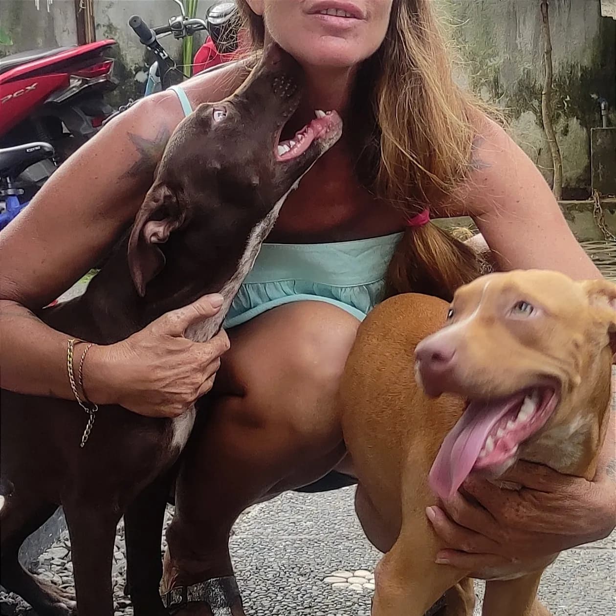 MOANA & MAUI πnew RESCUES π