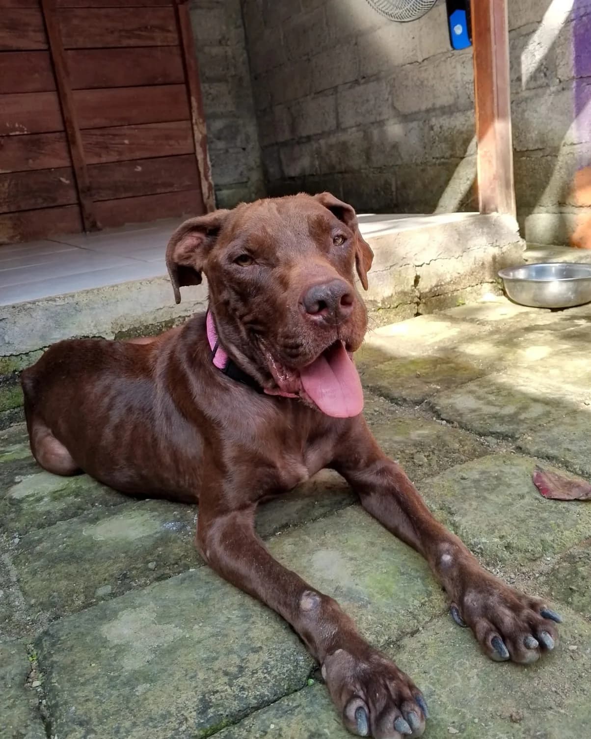 HERA ❤