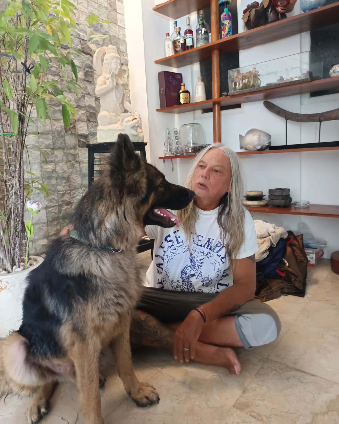 UPDATE : our boy has been returned to us .after just 48 hours his potential adopter reaβ¦