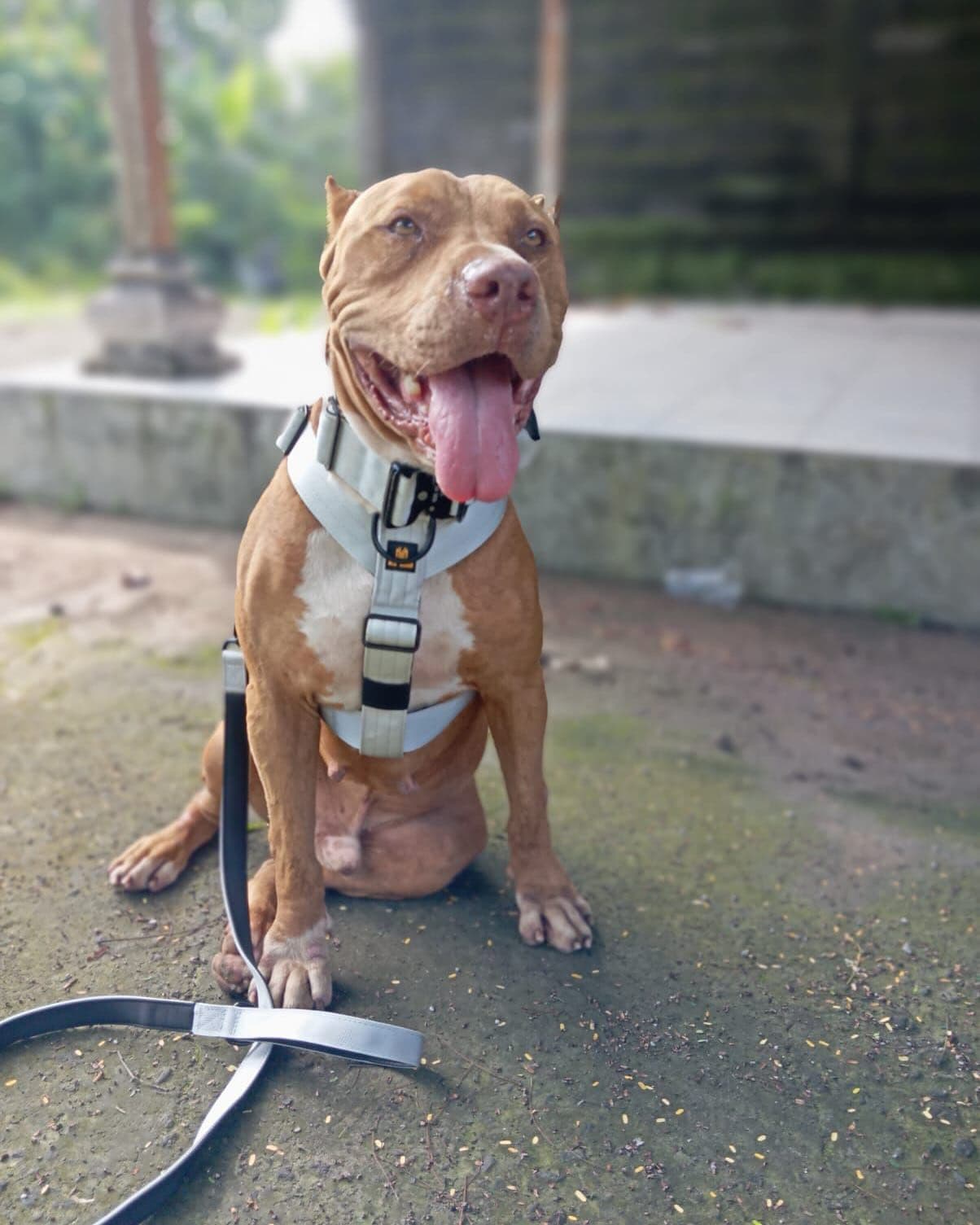 ATLAS looks incredible in our grey tactical set—strong and resilient, just like his story
