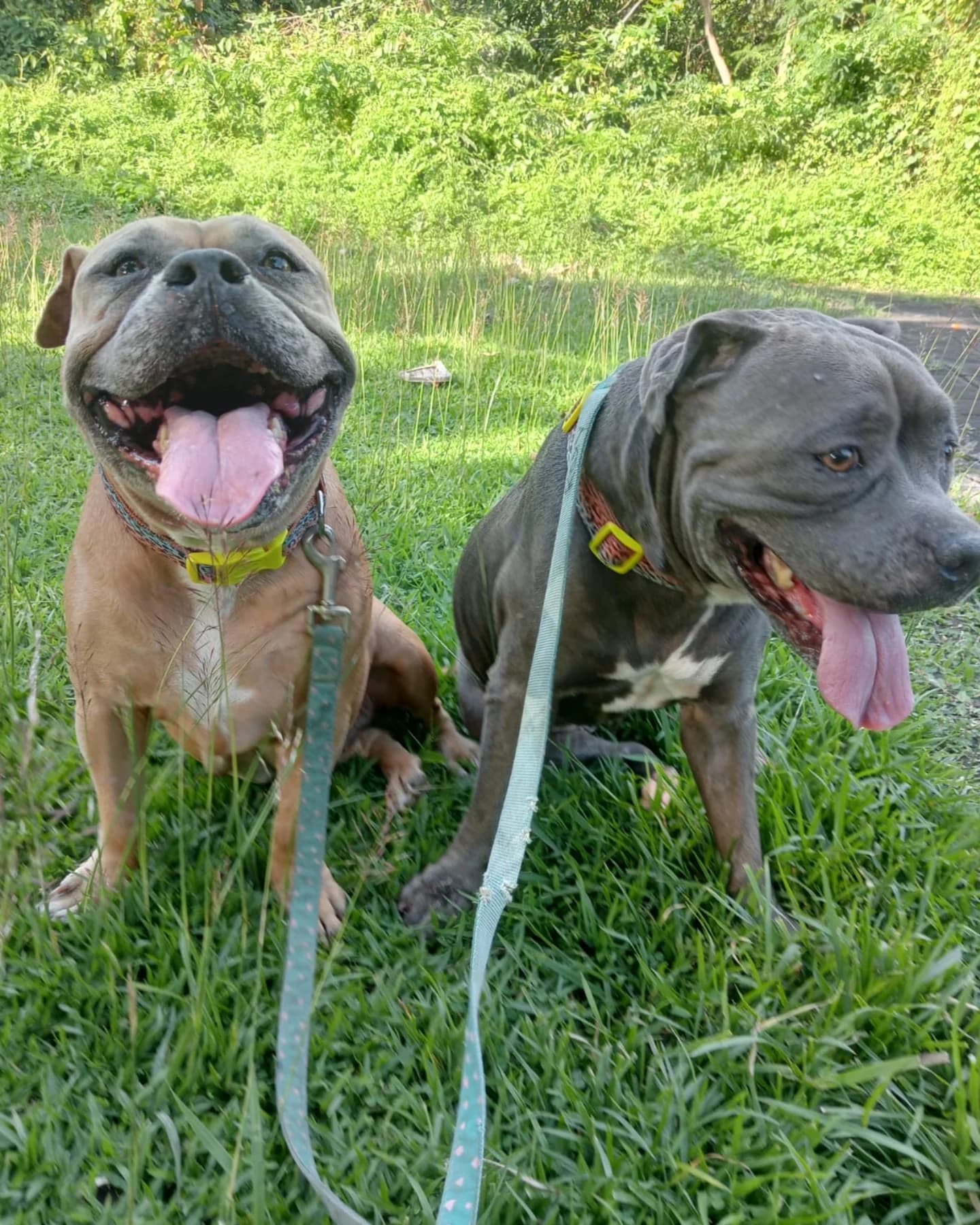 LEXIE & ROXY π WELCOME BACK MY GIRLS π