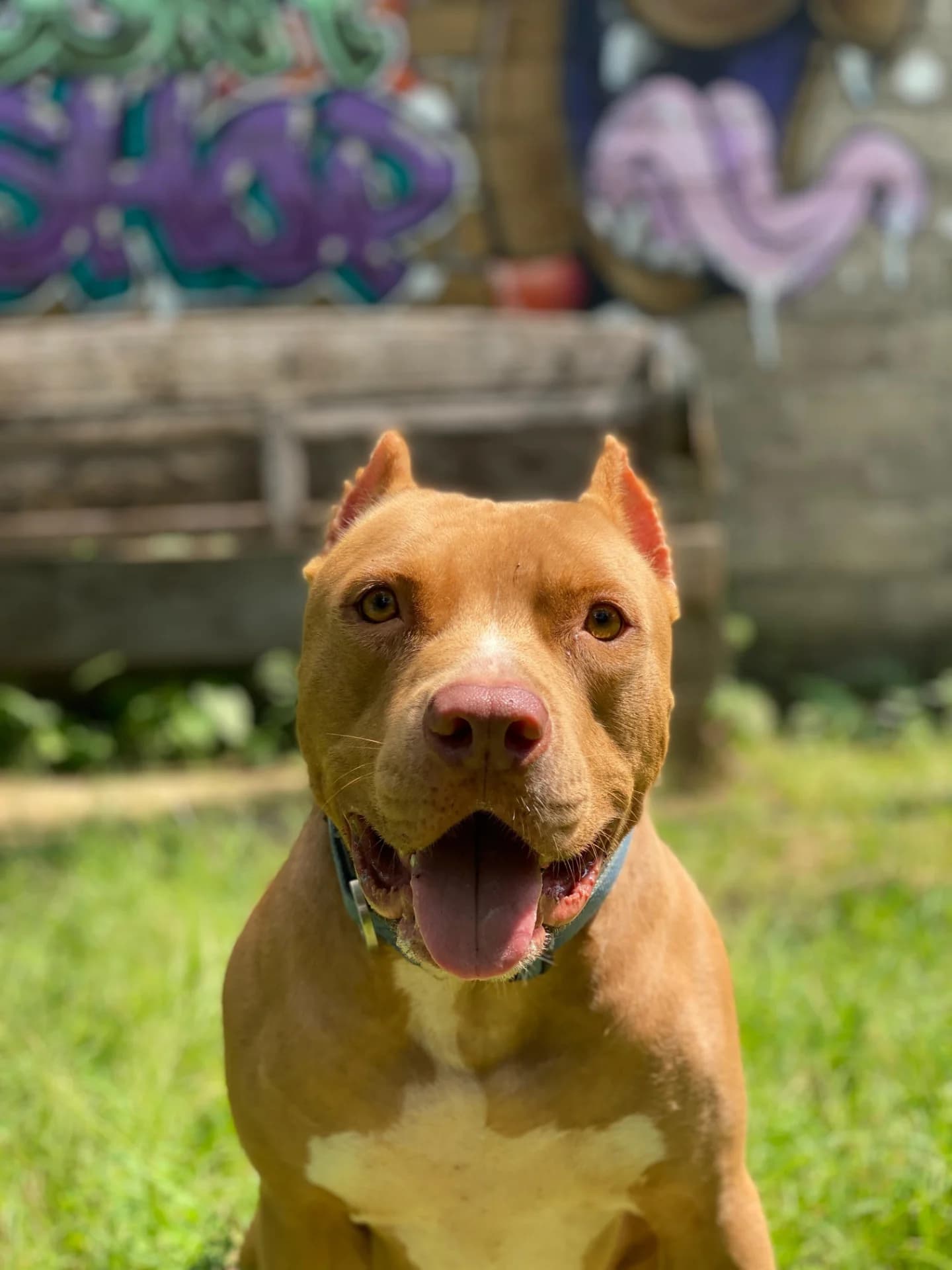 ZEUS β€ WELCOME BACK MY BOY π€¬