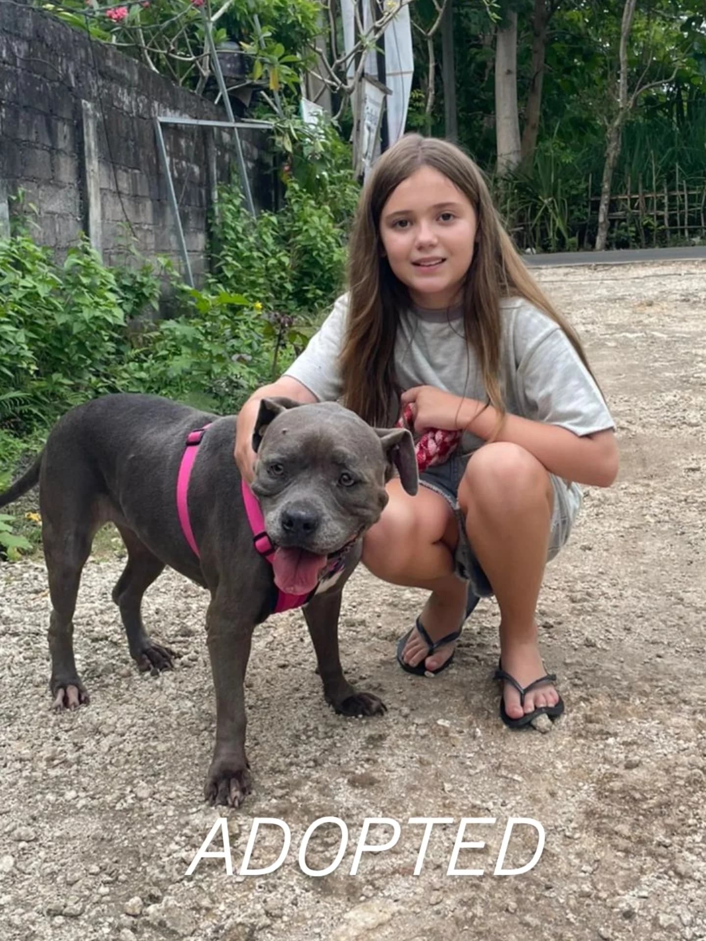 ROXY β€ IS ADOPTED πππ β let me tell you this adoption means the world to us .