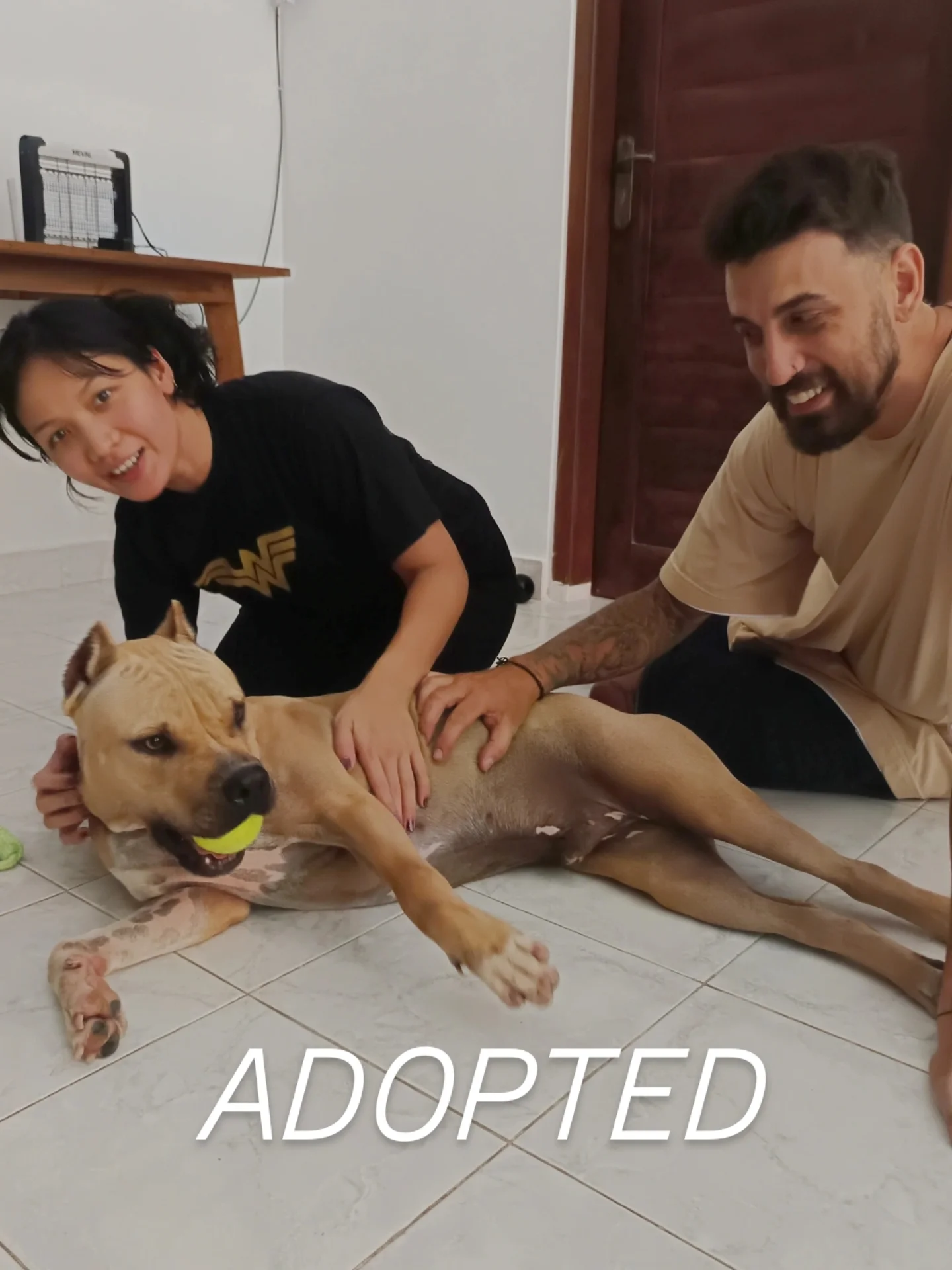 ZION β€ IS ADOPTED πππ