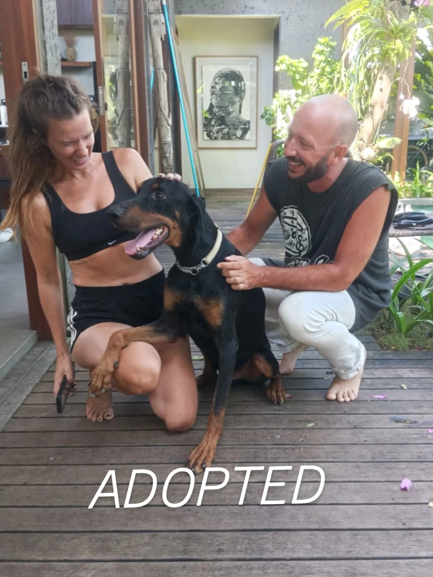 APOLLO β€ IS ADOPTED πππ