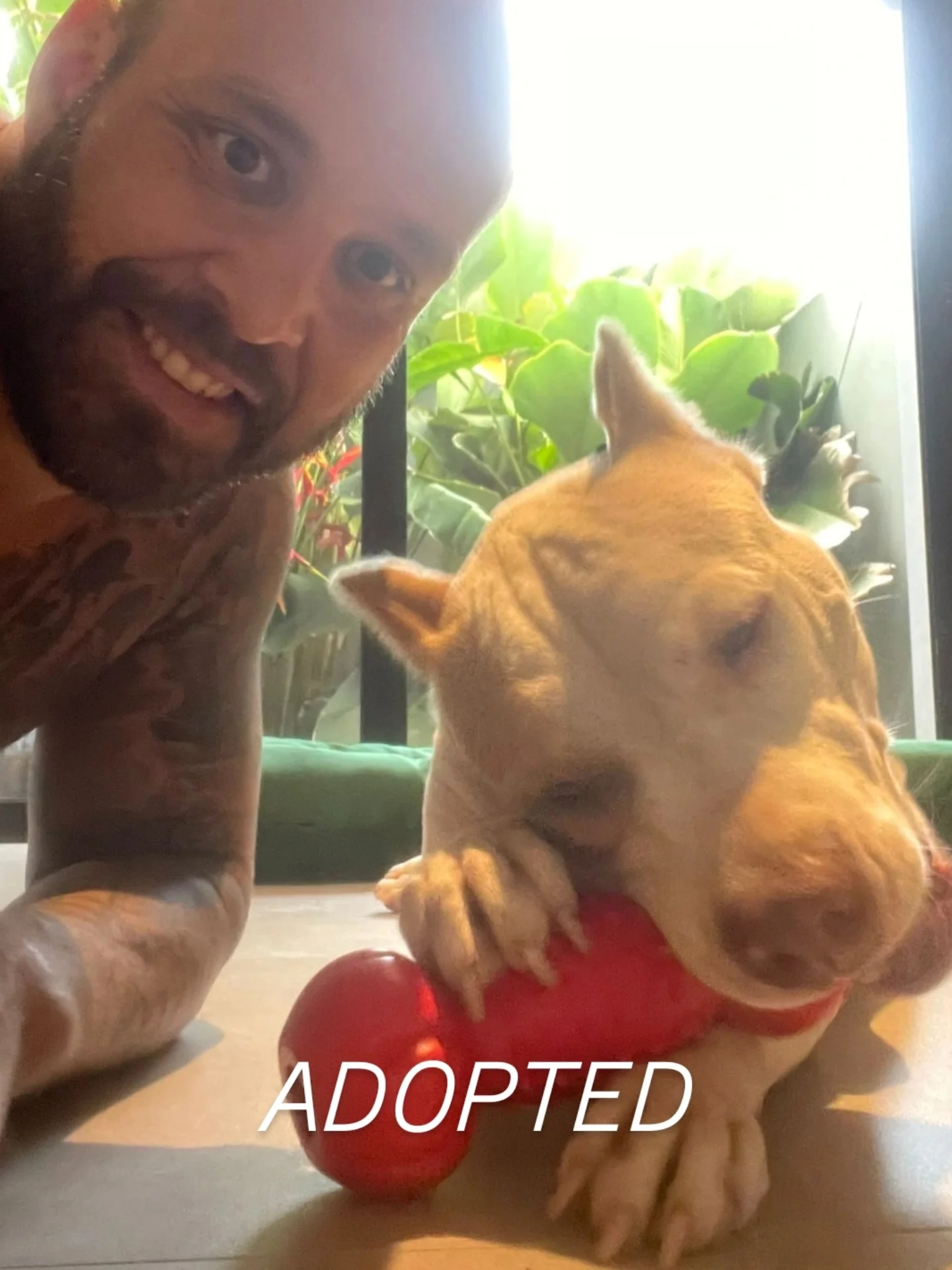 RAJAH β€ IS ADOPTED πππ