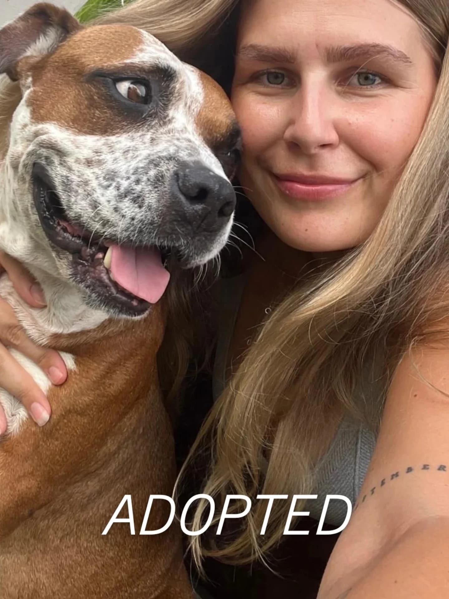 LOU β€ IS ADOPTED πππ