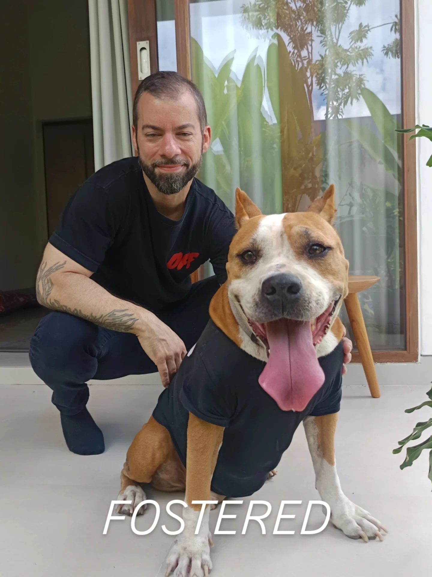 SHEBA β€ FOSTERED to ADOPT ππ€