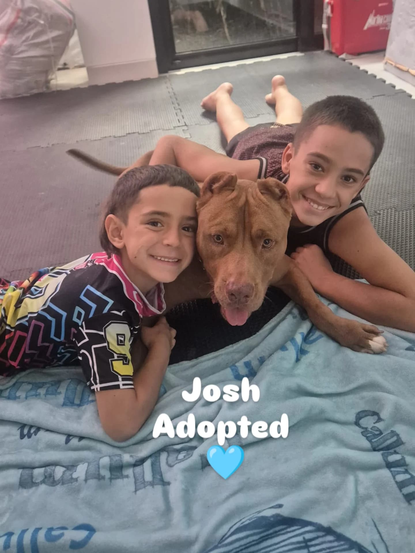 JOSH ๐ IS ADOPTED ๐๐๐