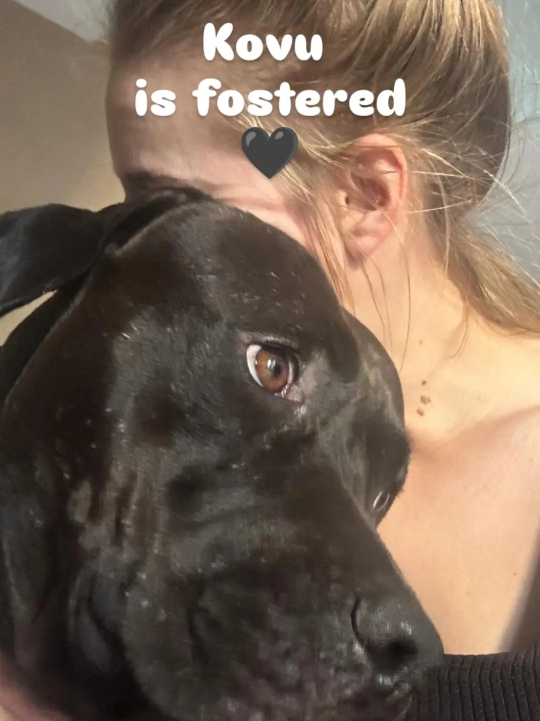 KOVU π€ FOSTERED π₯°