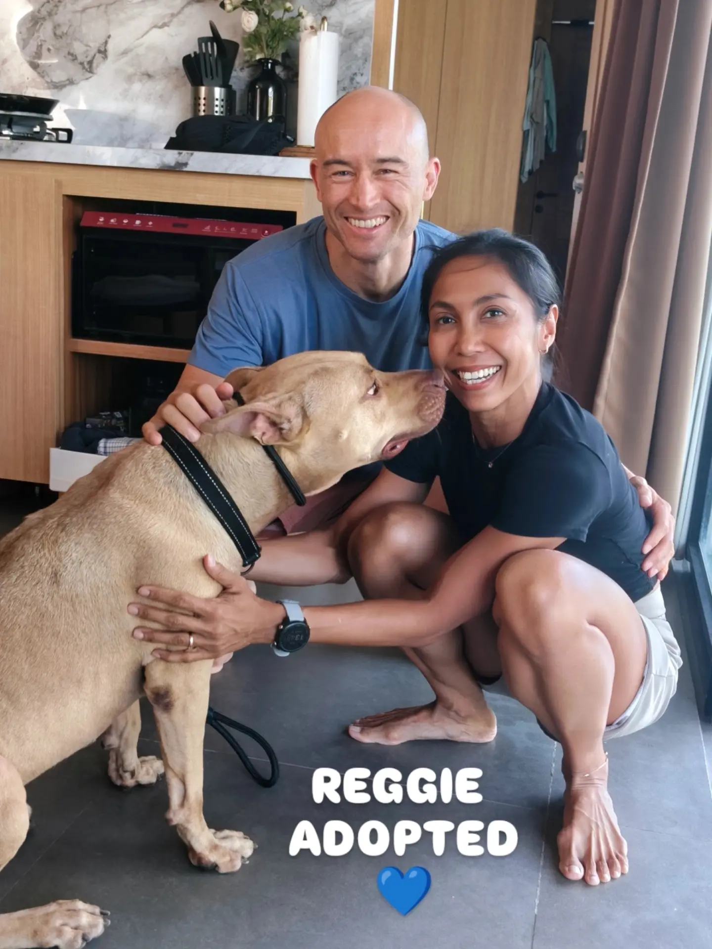 REGGIE π IS ADOPTED πππ
