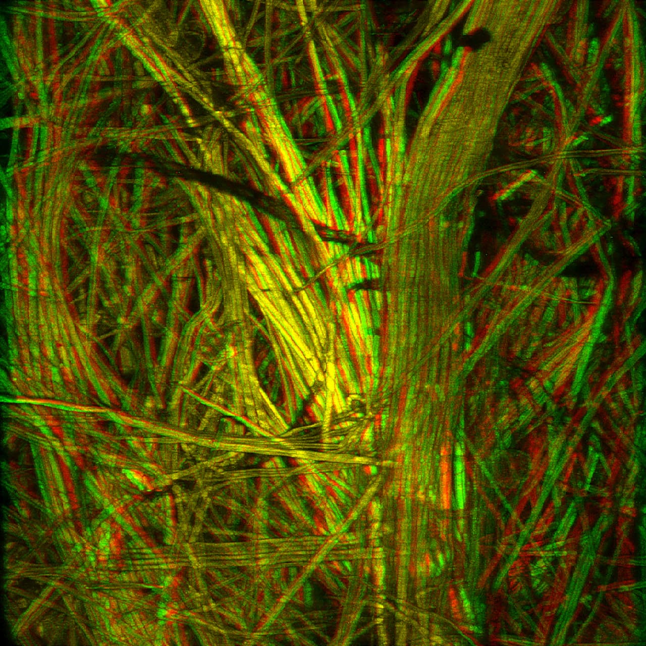 Cattail-handmade-paper-3d-1280