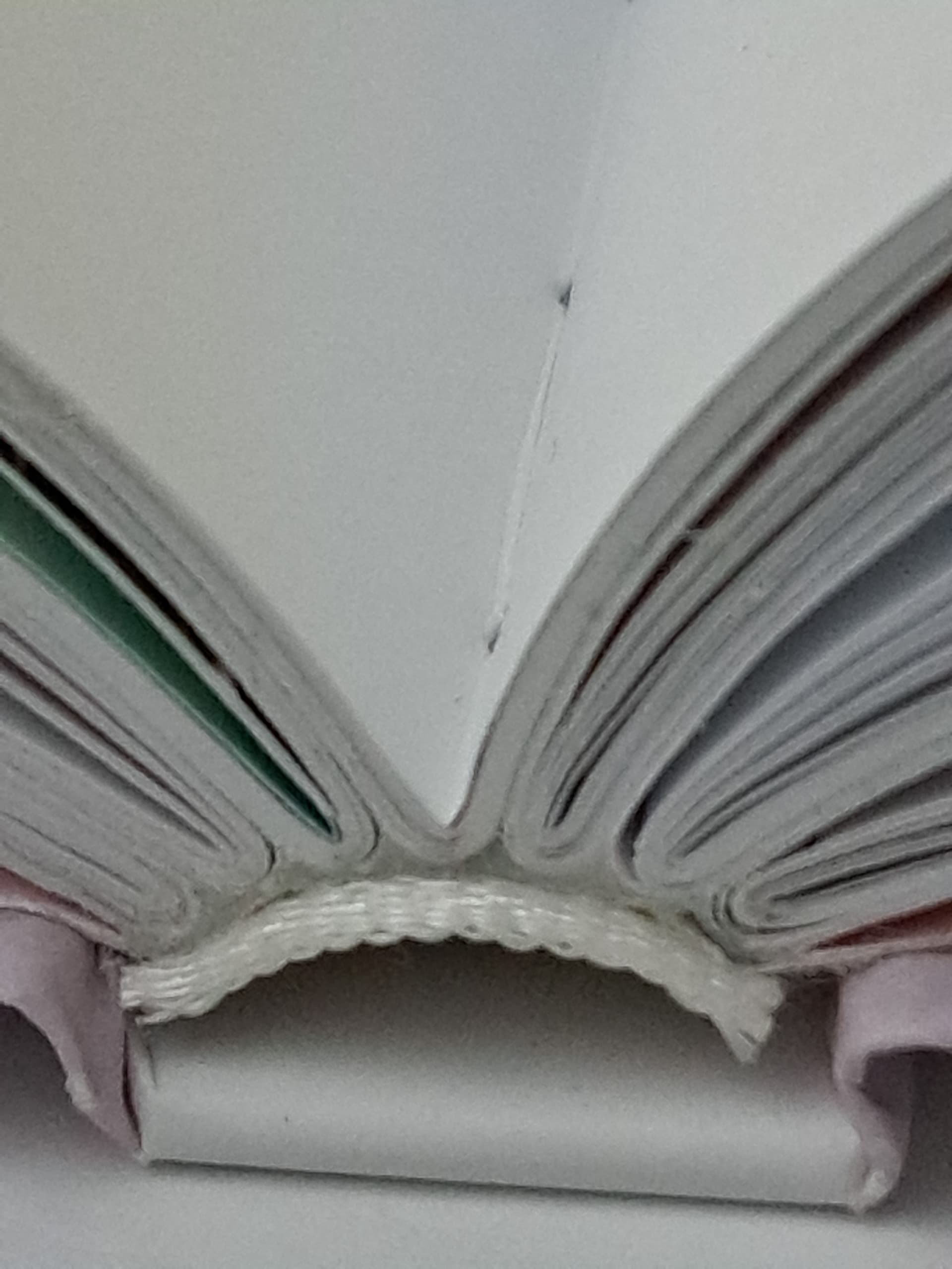 Example of hardcover sewn perfect binding with a possibly false cloth reinforcement