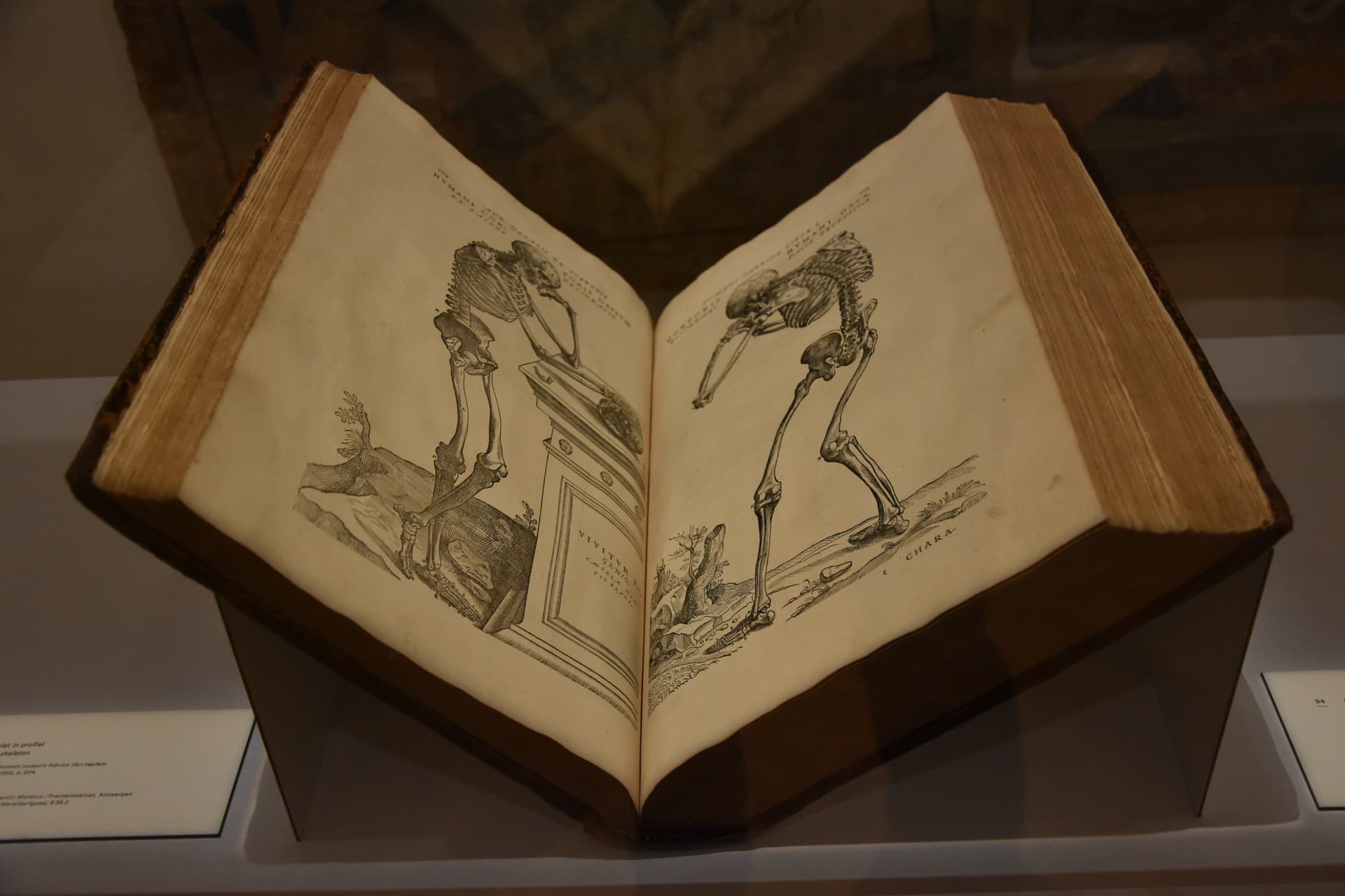Andreas Vesalius - De humani corporis fabrica libri septem - Museum Hof van Busleyden Mechelen 6-07-2018