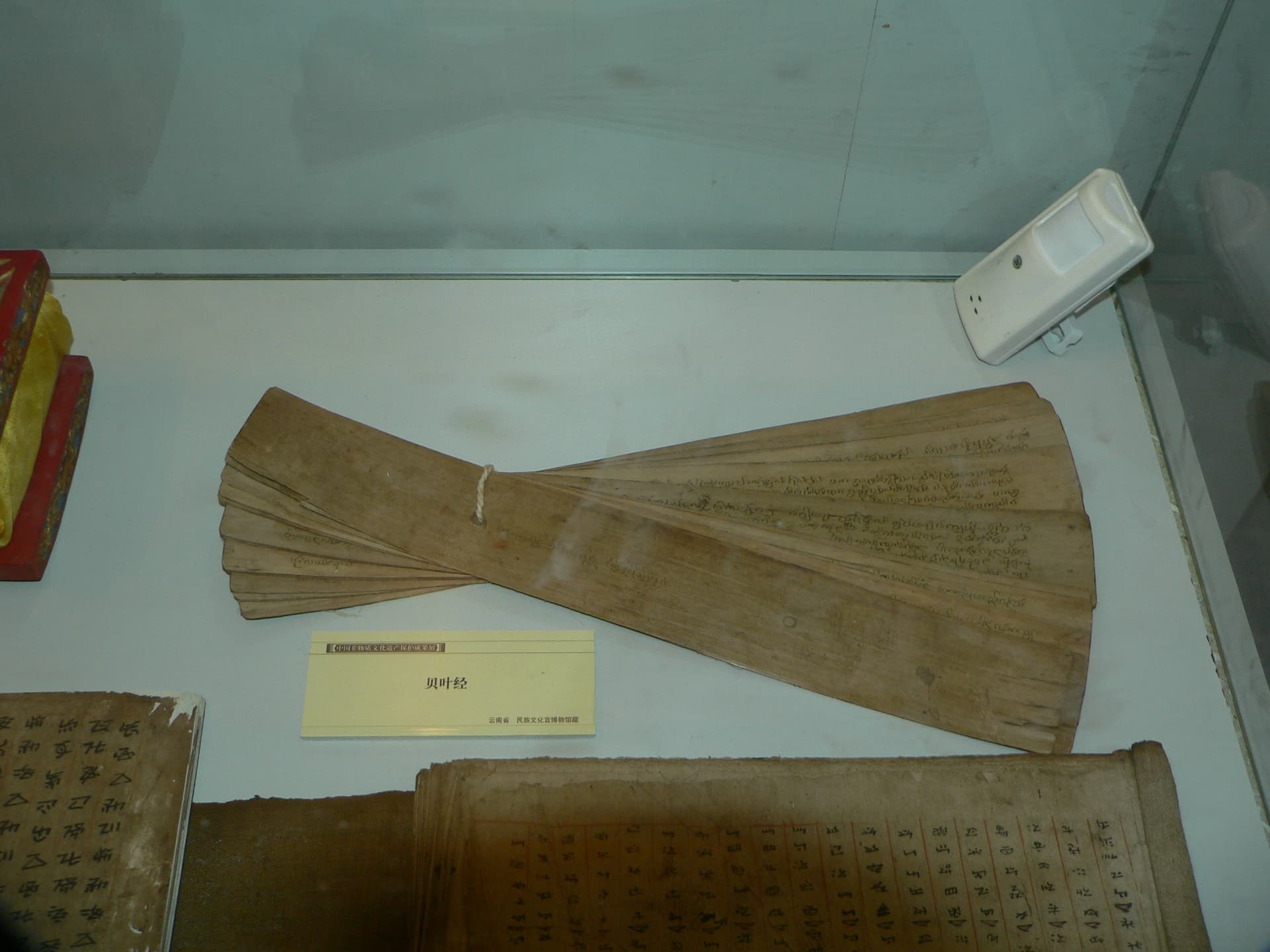 Palm-leaf manuscript in the National Library of China