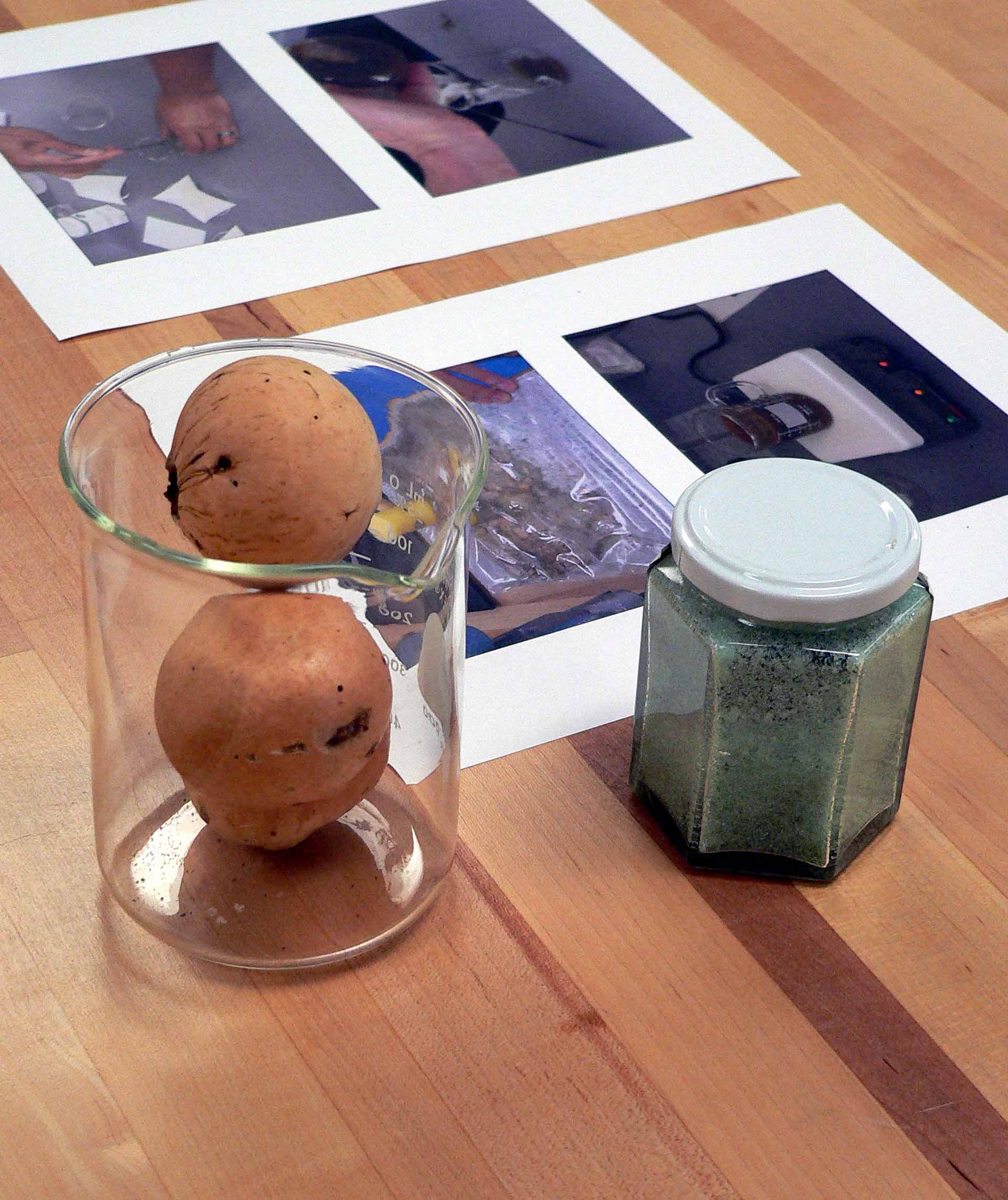 Oak galls and iron(II) sulfate - California State Archives