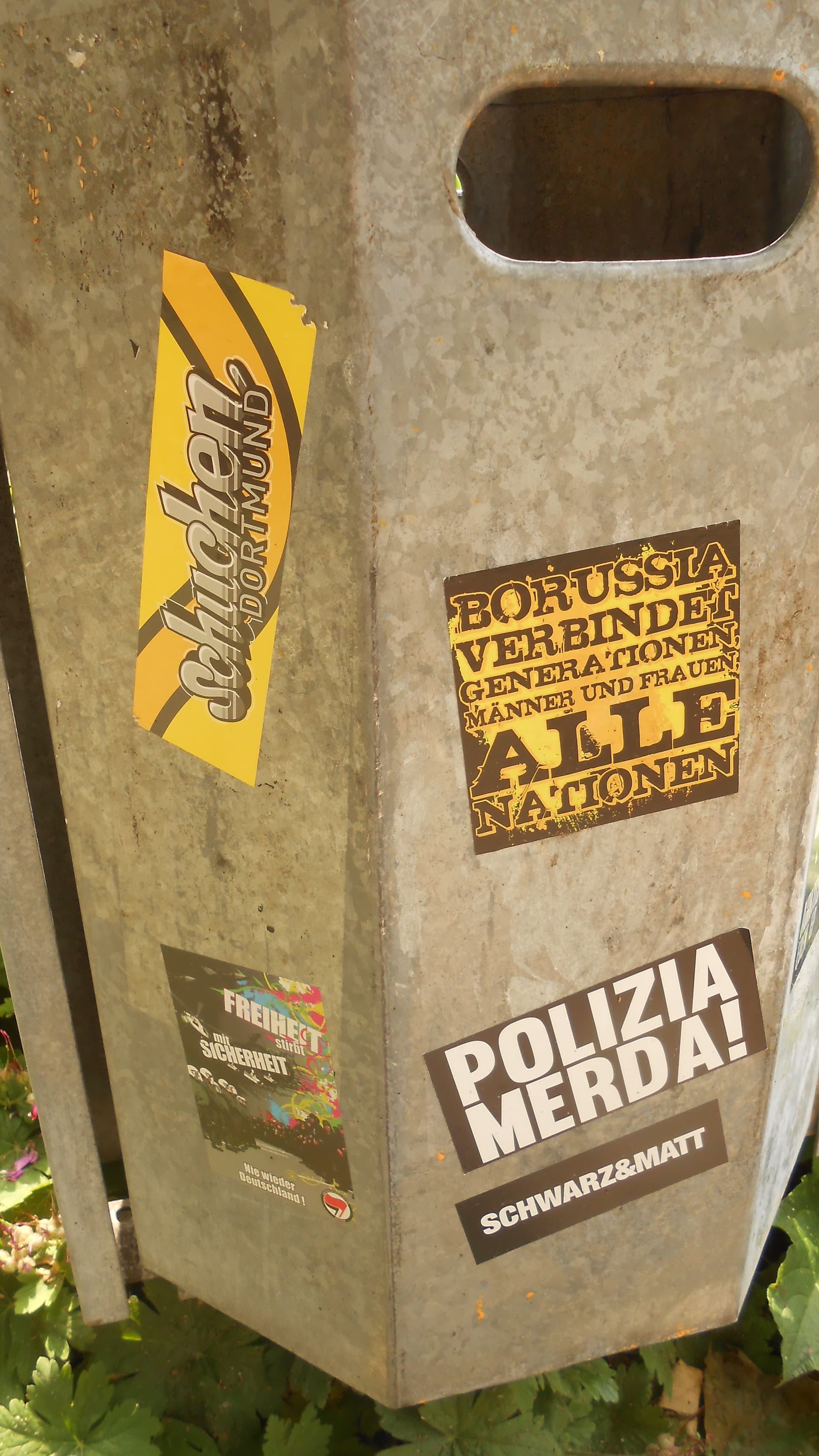 BVB-Aufkleber im Stadtgarten