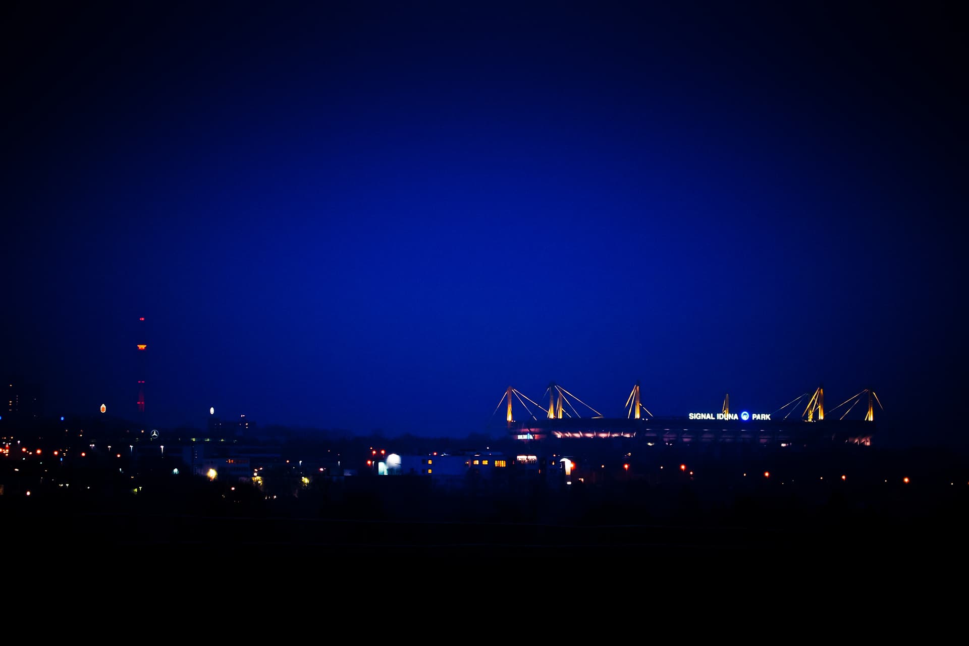 Dortmund morning glory