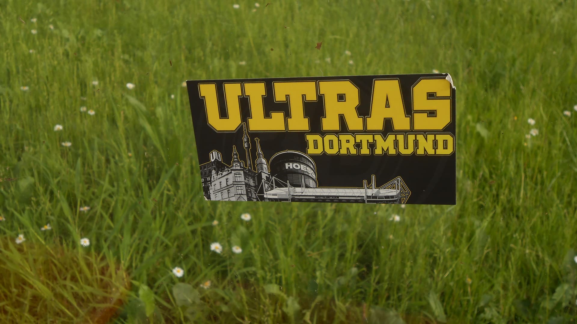 BVB Ultras Pothecke