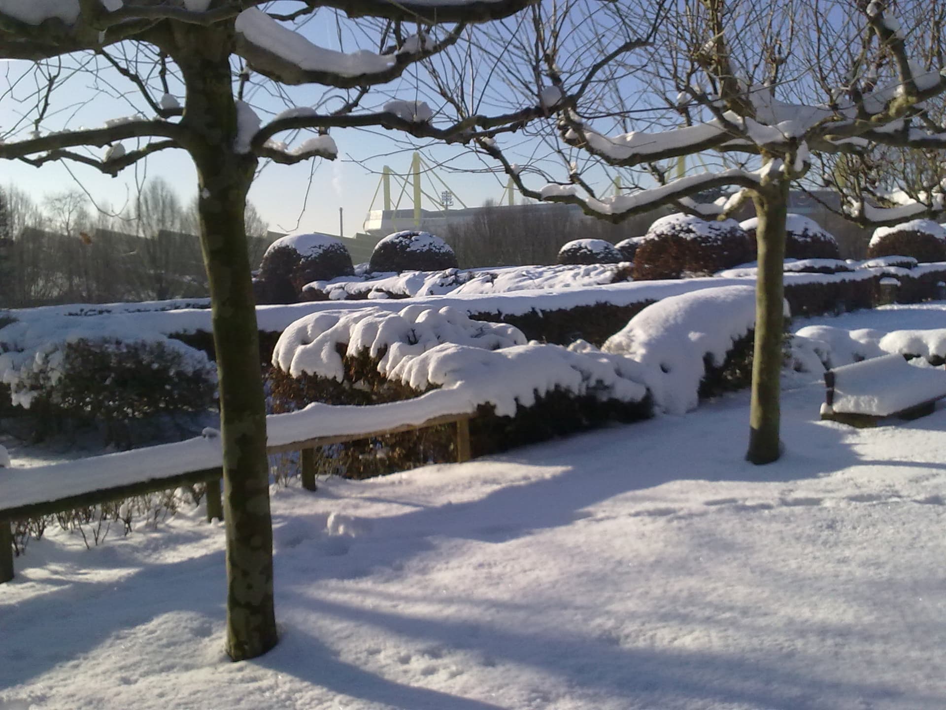 Rosenterrassen im Winter