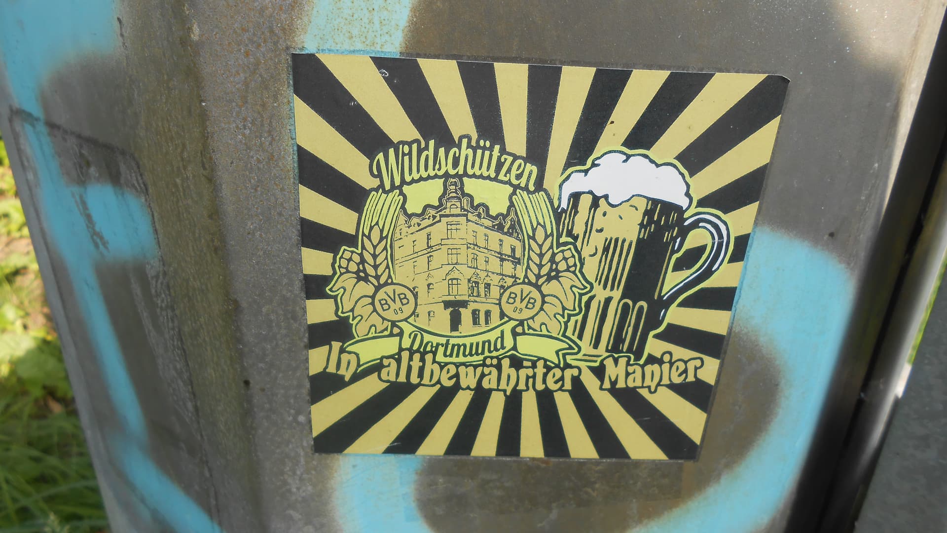 BVB Fanclub Wildschützen