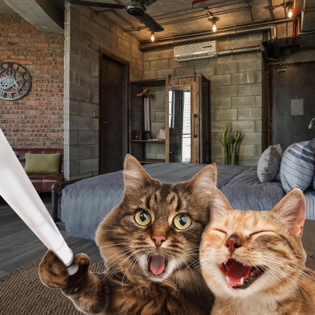 Happy International Cat Day!!! (1 of 4)